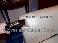 Cloverleaf Carpet Care 360502 Image 3